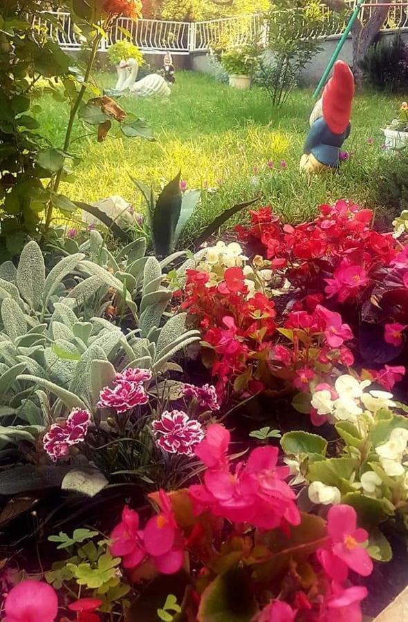 Apartman Nata Senj  Buitenkant foto